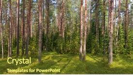  Presentation with panoramic - Presentation theme enhanced with panoramic view of boreal forest background and a tawny brown colored foreground