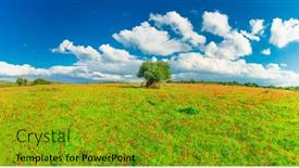  Presentation with olive tree - Audience pleasing slide deck consisting of panoramic-view-of-green-meadow backdrop and a gold colored foreground