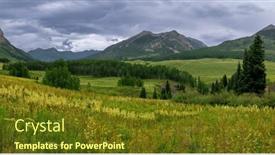  Presentation with wildflower meadow - Slide set enhanced with panoramic-view-of-summer-wildflower background and a  colored foreground