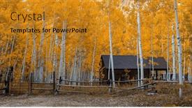  Presentation with cabin forest - PPT theme with panoramic-view-of-tall-aspen and a gold colored foreground