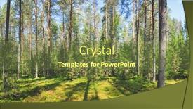  Presentation with panoramic - Cool new presentation theme with panoramic-view-of-temperate-coniferous backdrop and a tawny brown colored foreground
