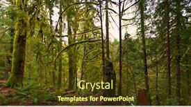  Presentation with british columbia canada - Cool new presentation with panoramic view of the rain forest in vancouver island british columbia canada backdrop and a tawny brown colored foreground