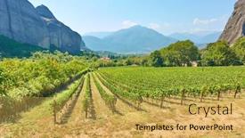  Presentation with vineyard - Audience pleasing presentation design consisting of panoramic view of vineyard in greece - greek rural landscpe backdrop and a yellow colored foreground