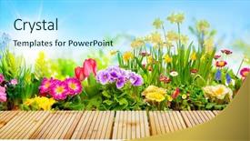  Presentation with jasmine spring flowers - Amazing presentation design having pansy - spring flowers in sunny garden backdrop and a arctic colored foreground