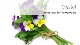  Presentation with viola cornuta - Amazing slides having eyecatcher - red bal in front of backdrop and a light gray colored foreground