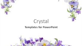  Presentation with white flowers - Slide deck with pansy-flowers-frame-isolated background and a white colored foreground