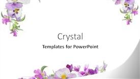  Presentation with white flowers - Slide deck enhanced with pansy-flowers-frame-isolated background and a white colored foreground