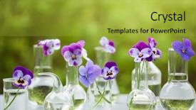 Presentation with pansy - Colorful PPT layouts enhanced with pansy flowers in chemical glassware backdrop and a yellow colored foreground