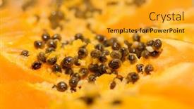  Presentation with papaya - Audience pleasing PPT theme consisting of group of people with business trainer at seminar backdrop and a white colored foreground