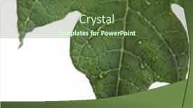  Presentation with water leaf - Slides consisting of papaya-leaf-with-water-drop background and a  colored foreground