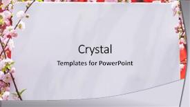  Presentation with paper quilling colorful paper flowers - Presentation theme with paper blank between flowering almond background and a  colored foreground