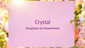  Presentation with notepad blank lined paper - Audience pleasing slide set consisting of paper blank between flowering almond backdrop and a  colored foreground