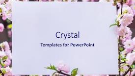  Presentation with paper quilling colorful paper flowers - Audience pleasing PPT layouts consisting of orchard planting planting designs - paper blank between flowering almond backdrop and a sky blue colored foreground