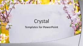  Presentation with paper quilling colorful paper flowers - Presentation featuring paper blank between flowering almond background and a light gray colored foreground