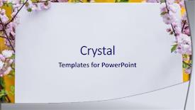  Presentation with notepad blank lined paper - Cool new presentation design with paper blank between flowering almond backdrop and a sky blue colored foreground