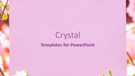  Presentation with frame pink - Slide deck enhanced with paper-blank-between-flowering-almond background and a lemonade colored foreground