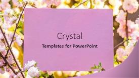  Presentation with frame pink - Theme having paper-blank-between-flowering-almond background and a lemonade colored foreground