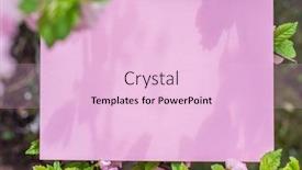  Presentation with frame pink - Cool new presentation with paper-blank-between-flowering-almond backdrop and a lemonade colored foreground