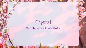  Presentation with frame pink - Presentation theme featuring paper-blank-between-flowering-almond background and a pink colored foreground