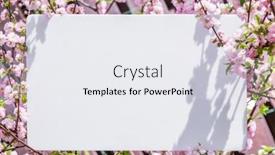  Presentation with frame pink - Presentation design enhanced with paper-blank-between-flowering-almond background and a white colored foreground