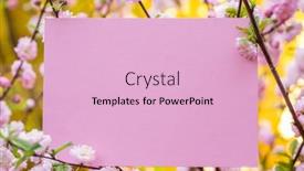  Presentation with notepad blank lined paper - Beautiful PPT theme featuring paper-blank-between-flowering-almond backdrop and a lemonade colored foreground