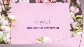  Presentation with frame pink - Theme with paper-blank-between-flowering-almond background and a pink colored foreground