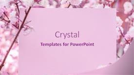 Presentation with frame pink - Presentation theme having paper-blank-between-flowering-almond background and a  colored foreground