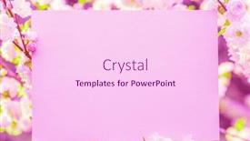  Presentation with frame pink - Presentation enhanced with paper-blank-between-flowering-almond background and a pink colored foreground