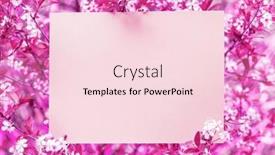  Presentation with cherry blossom - Slides enhanced with paper-blank-between-pink-cherry background and a  colored foreground