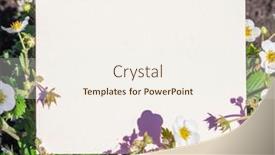  Presentation with strawberry - Slide deck with paper-blank-between-strawberry-flowering background and a sky blue colored foreground