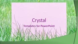  Presentation with green - Presentation design enhanced with paper blank on the green background and a  colored foreground