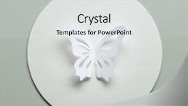  Presentation with butterfly moving - Slide deck having paper butterfly on blank card background and a light gray colored foreground