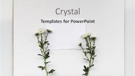  Presentation with white flower frame - PPT layouts with paper-card-frame-with-flower background and a light gray colored foreground
