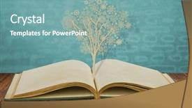  Presentation with christmas tree - Colorful slide set enhanced with paper cut of christmas tree backdrop and a seafoam green colored foreground