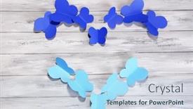  Presentation with butterflies - Presentation consisting of paper-cut-out-butterflies background and a light blue colored foreground