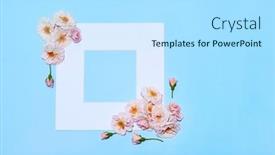  Presentation with roses - PPT theme with paper-frame-with-roses background and a arctic colored foreground