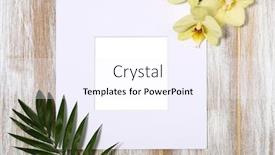  Presentation with palm leaves - Amazing presentation theme having paper-frame-with-yellow-orchid backdrop and a sky blue colored foreground