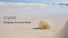  Presentation with sea shell - Colorful presentation design enhanced with paper-nautilus-sea-shell backdrop and a soft green colored foreground