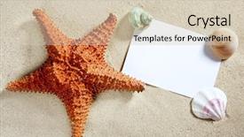  Presentation with white sand - Audience pleasing PPT theme consisting of paper on white sand beach backdrop and a soft green colored foreground