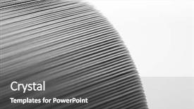  Presentation with insect macro of mosquito aedes - PPT layouts having macro of a rolled catalog background and a dark gray colored foreground