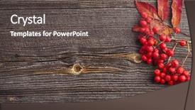  Presentation with fall leaves border autumn - Cool new PPT theme with paper sheet on wooden background backdrop and a dark gray colored foreground