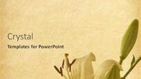  Presentation with elements - PPT theme with paper-texture-with-floral-elements and a blonde colored foreground