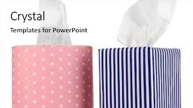  Presentation with custodial cleaning - PPT layouts consisting of beautiful happy muslim woman in green field background and a tawny brown colored foreground