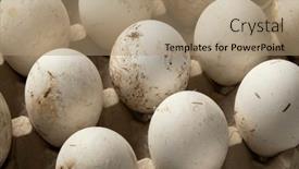  Presentation with paper - PPT theme having paper-tray-with-fresh-picked background and a coral colored foreground