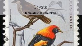  Presentation with papua new guinea - 