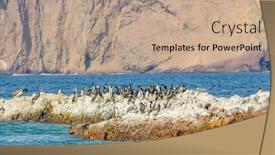  Presentation with national - Slides with paracas-national-reserve-peru-pelicans background and a coral colored foreground