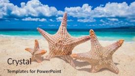  Presentation with stars - Amazing slide set having paradise 3 - family holiday concept - sea-stars backdrop and a lemonade colored foreground