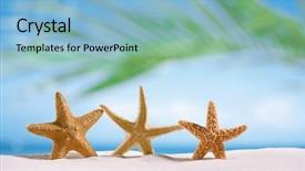  Presentation with sand ocean - Slides featuring paradise 3 - three starfish on white sand background and a light blue colored foreground