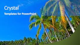  Presentation with beach palm tree wedding - Colorful PPT theme enhanced with paradise beach with palm trees backdrop and a cobalt blue colored foreground