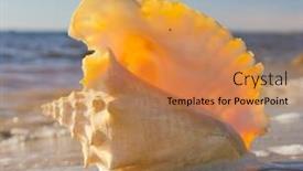  Presentation with treasure - Slides enhanced with paradise blue beach treasure background and a coral colored foreground